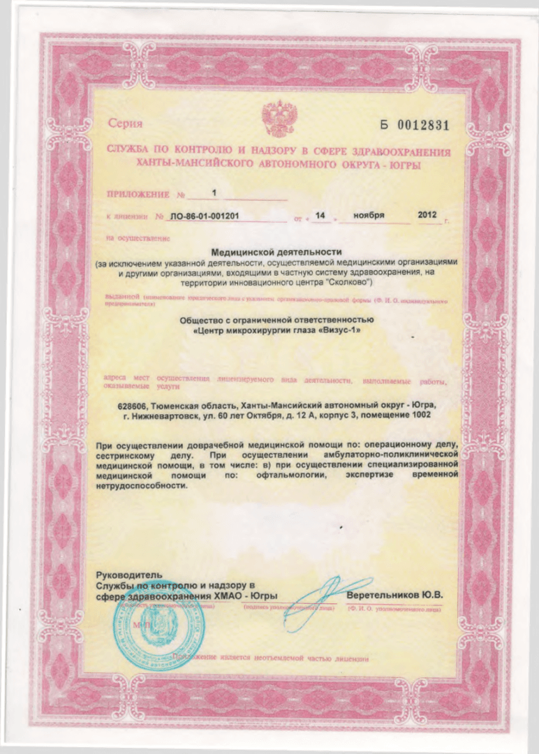 Лицензия на осуществление медицинской деятельности клиники «Визус-1», Нижневартовск — Страница 2